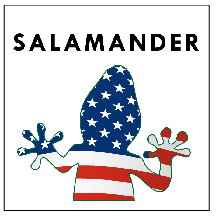 Salamander and the American Flag