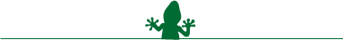 Salamander