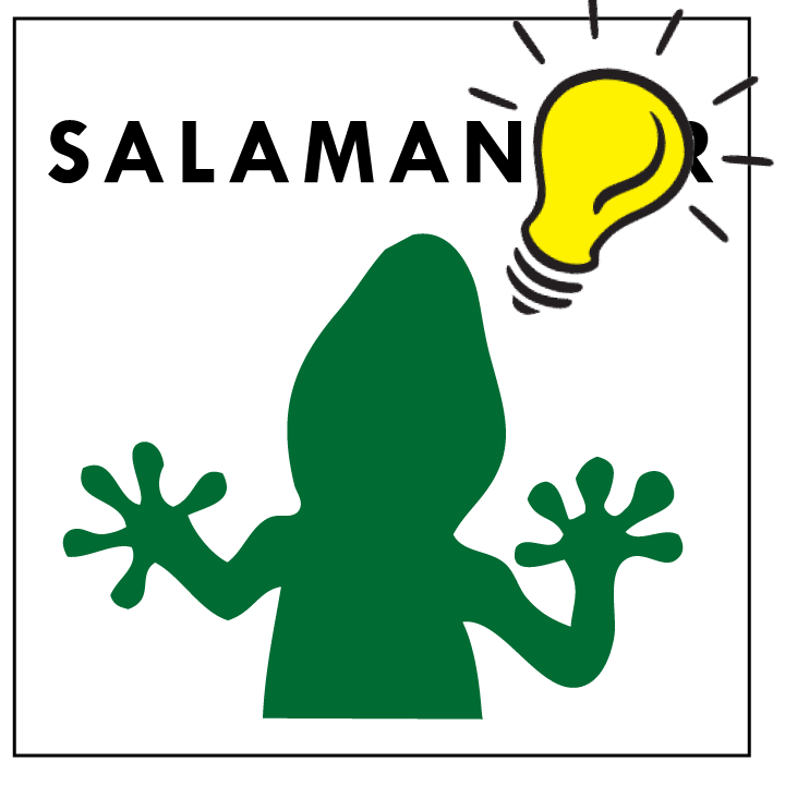 Salamander-with-lightbulb Salamander-with-lightbulb