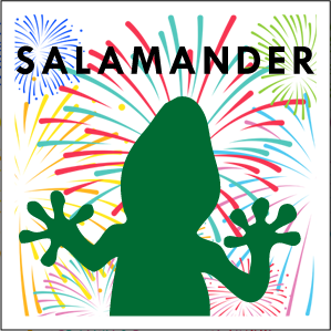 salamander_happy2020 salamander_happy2020